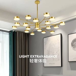 ceiling-dropping-light